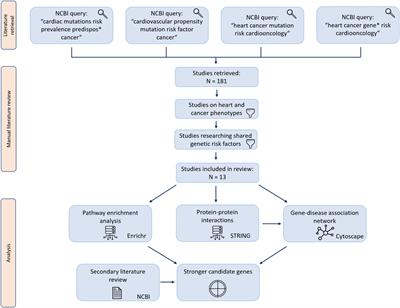 Shared Genetic Risk Factors Between Cancer and Cardiovascular Diseases